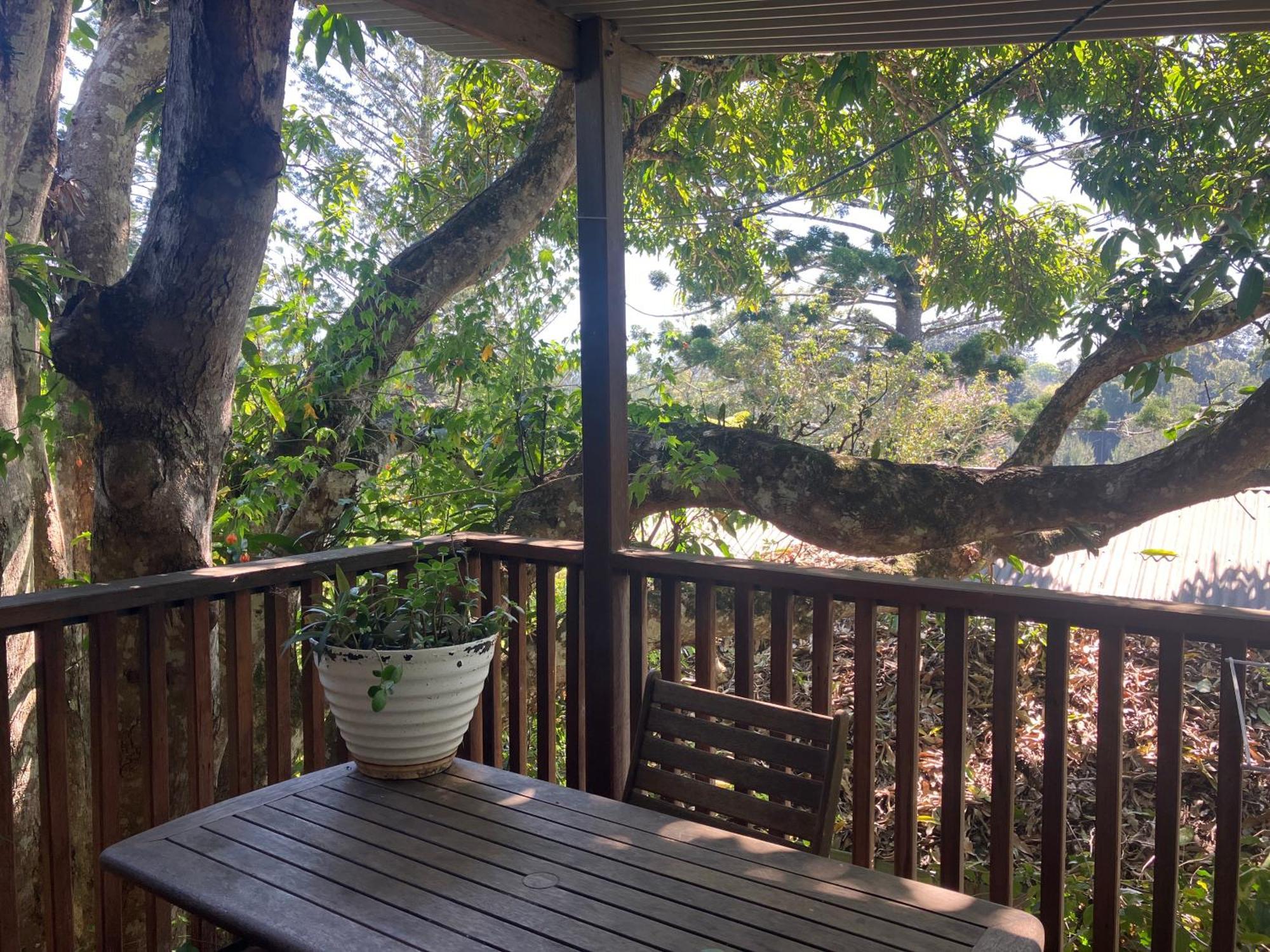 Potters Cottage Bellingen Exteriör bild